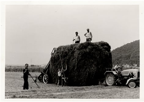 Landwirtschaft